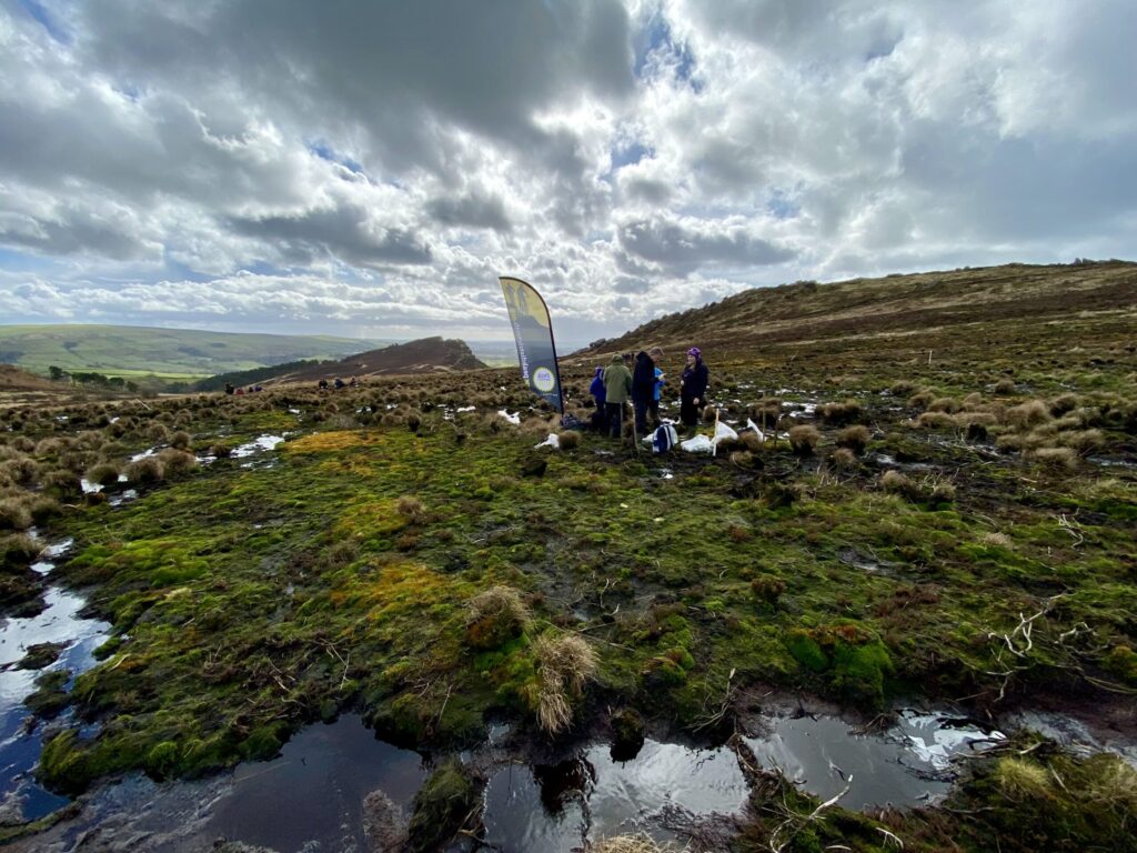 Planting Sphagnum moss on the Roaches estate